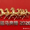 我的末来不是梦