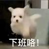 我是八月呀