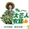 大芒人农业
