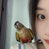 皮皮是只鹦鹉