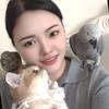 春与鹦鹉🦜