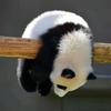 贰十柒