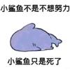 未央