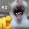 就这？？