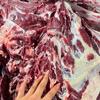 蔡家-新鲜黄牛肉
