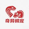 平舆奇异鳞宠爬宠体验馆官方号