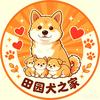 即墨犬心犬意田园犬