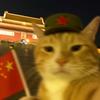 🇨🇳🇨🇳