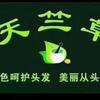 天竺草，娇阳1