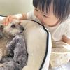 摩卡的幸福生活