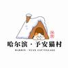 哈尔滨予安猫村