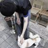 秩序执剑勇士