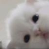 天 真