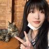 皮西和18只猫的家🏠