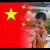 柠檬初上