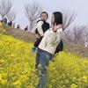 小胡很自律（嘴替版）