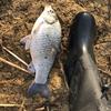 🎣空军一号🎣