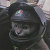 别像刺猬