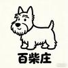 百柴庄纯种苏梗繁育
