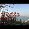铭