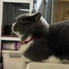 Yun｜普宁养猫穿搭探店日记