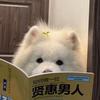 鱼仰