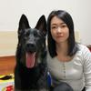 爱玩坦克爱德牧