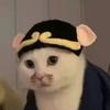 随