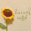 阳光小葵🌻