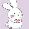 🐰兔子