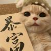 琮衣而终