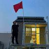 奇兵赛鸽