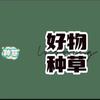 可爱宠物用品好物分享（互关）