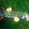 EverLeaf