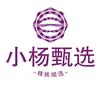 小杨甄选
