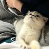 小白，