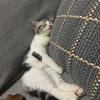 Mia碎碎念•