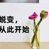 包子爱锻炼