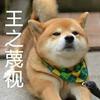 徐来