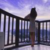 shi-貝小姐、呀