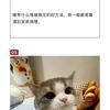 何大胆