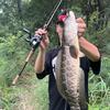 全能阿弈🎣
