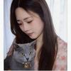 我的猫咪叫元宝