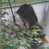 一朵草莓🍓