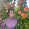 新农人婵婵