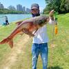 迷哥🎣鲢鳙