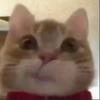 轩～