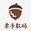 栗子数码科技（代淘）
