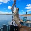 太平湖签约钓手