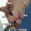 🍉小赵同学